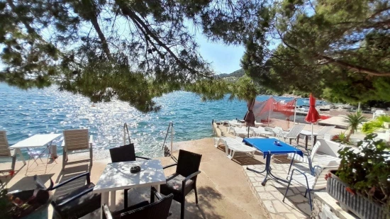 Apartmán Jižní Dalmácie - Klek DA 17285 N1