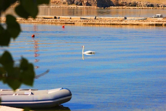 Apartmán Ostrov Pag - Dinjiška OS 12220 N1