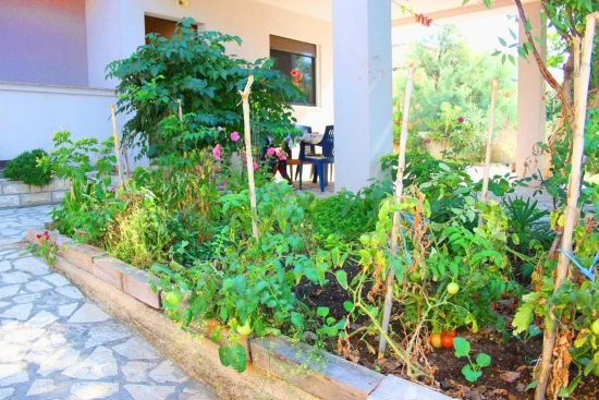 Apartmán Ostrov Pag - Dinjiška OS 12220 N1