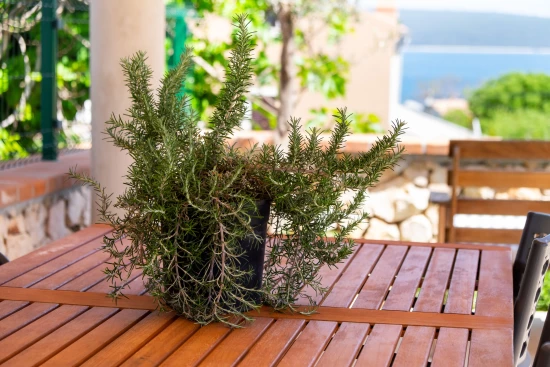 Apartmán Ostrov Lošinj - Nerezine OS 12227 N1