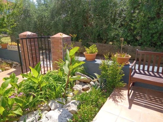 Domek Ostrov Ugljan - Ugljan OS 12229 N1