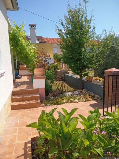 Domek Ostrov Ugljan - Ugljan OS 12229 N1