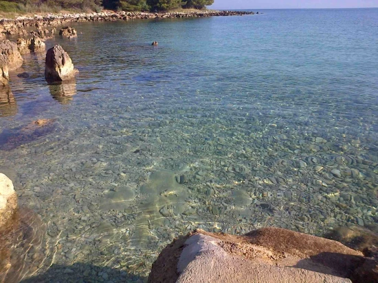 Domek Ostrov Ugljan - Ugljan OS 12229 N1