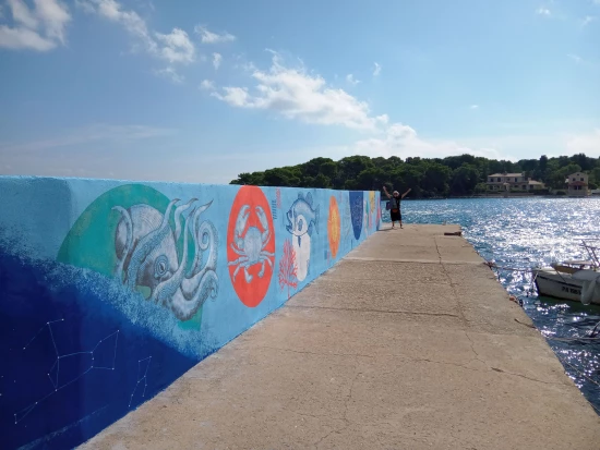 Domek Ostrov Ugljan - Ugljan OS 12229 N1