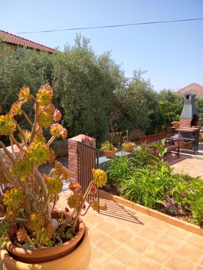 Domek Ostrov Ugljan - Ugljan OS 12229 N1