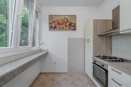 Apartmán Střední Dalmácie - Split DA 17295 N1