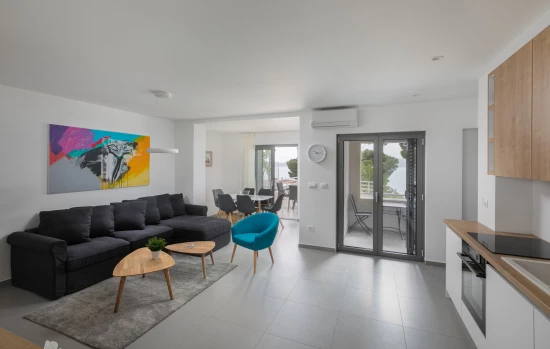 Apartmán Střední Dalmácie - Brela DA 17297 N1