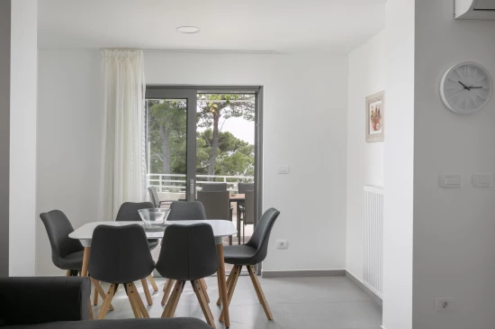 Apartmán Střední Dalmácie - Brela DA 17297 N1