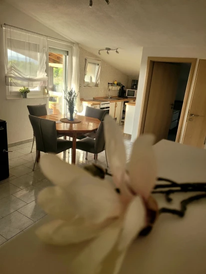 Apartmán Severní Dalmácie - Pirovac DA 17298 N1