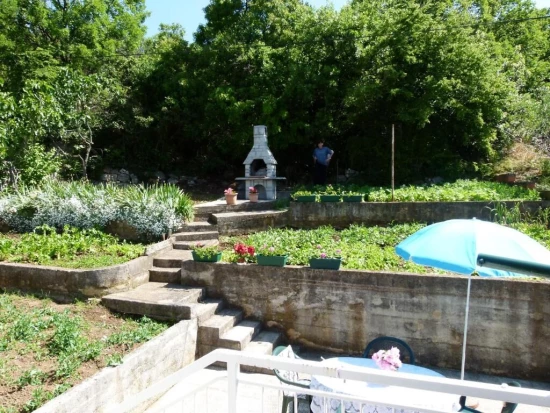 Apartmán Kvarner - Crikvenica KV 10284 N1