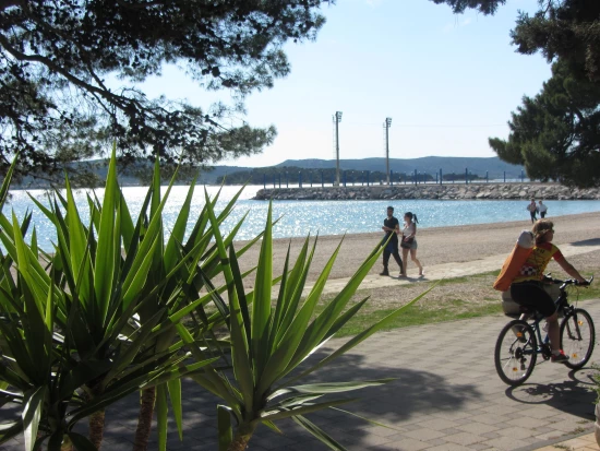 Apartmán Severní Dalmácie - Biograd na Moru DA 17306 N1