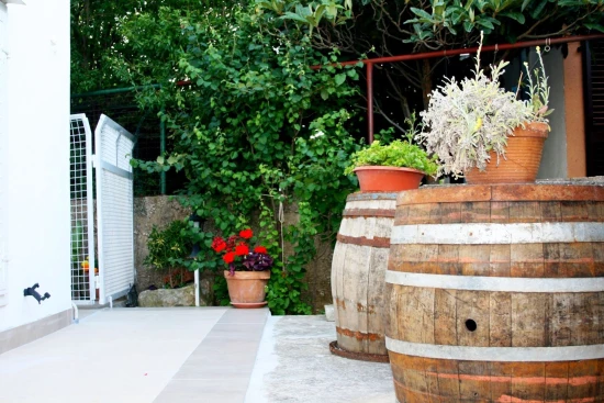 Apartmán Střední Dalmácie - Vinišće DA 17313 N1