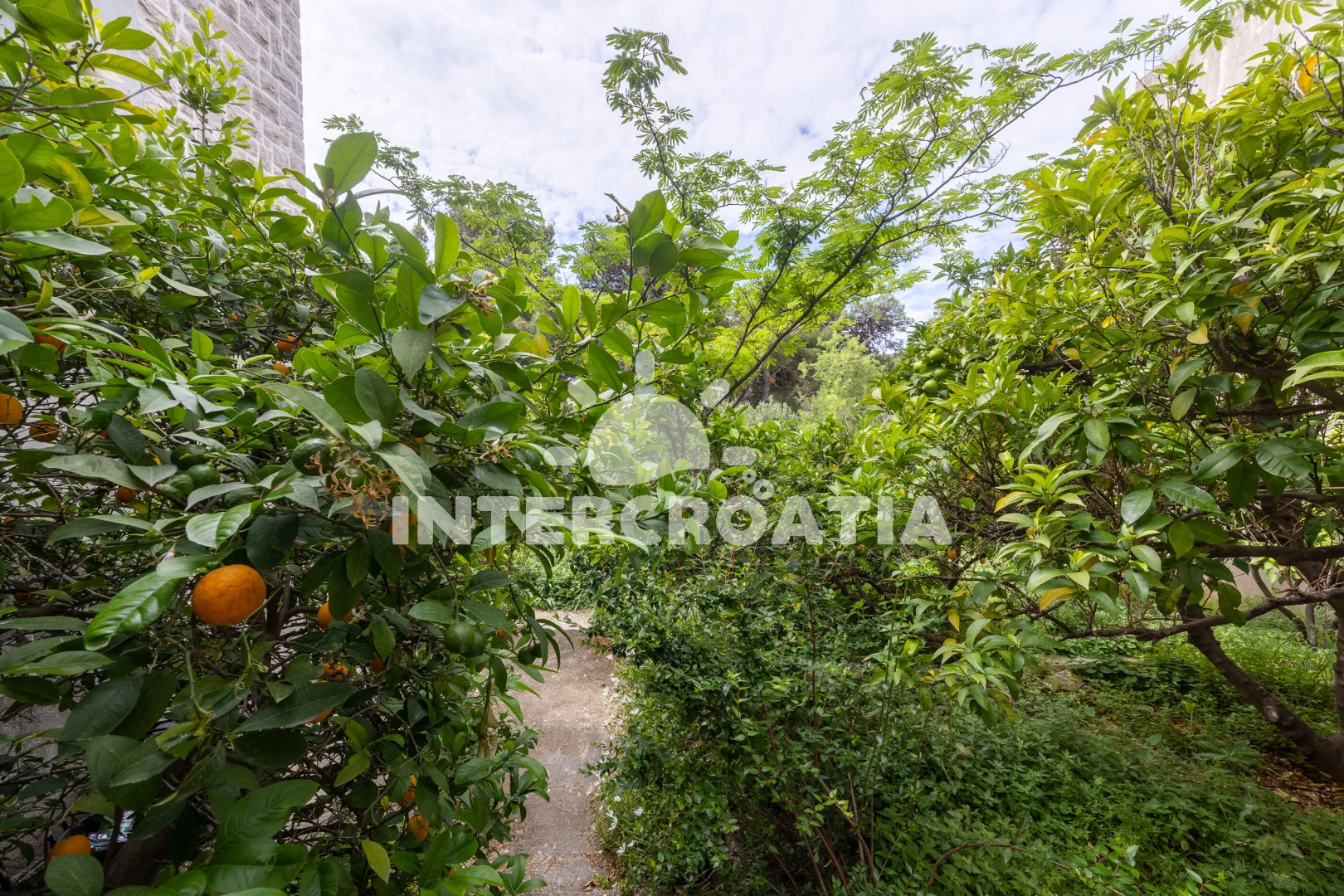 Apartmán Ostrov Brač - Bol OS 12245 N6