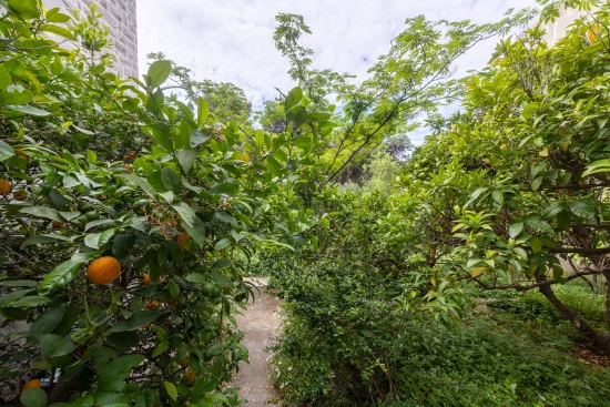 Apartmán Ostrov Brač - Bol OS 12245 N6