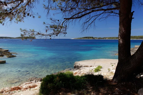 Apartmán Ostrov Korčula - Vela Luka OS 12246 N2