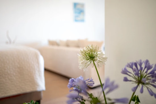 Apartmán Ostrov Korčula - Vela Luka OS 12246 N2