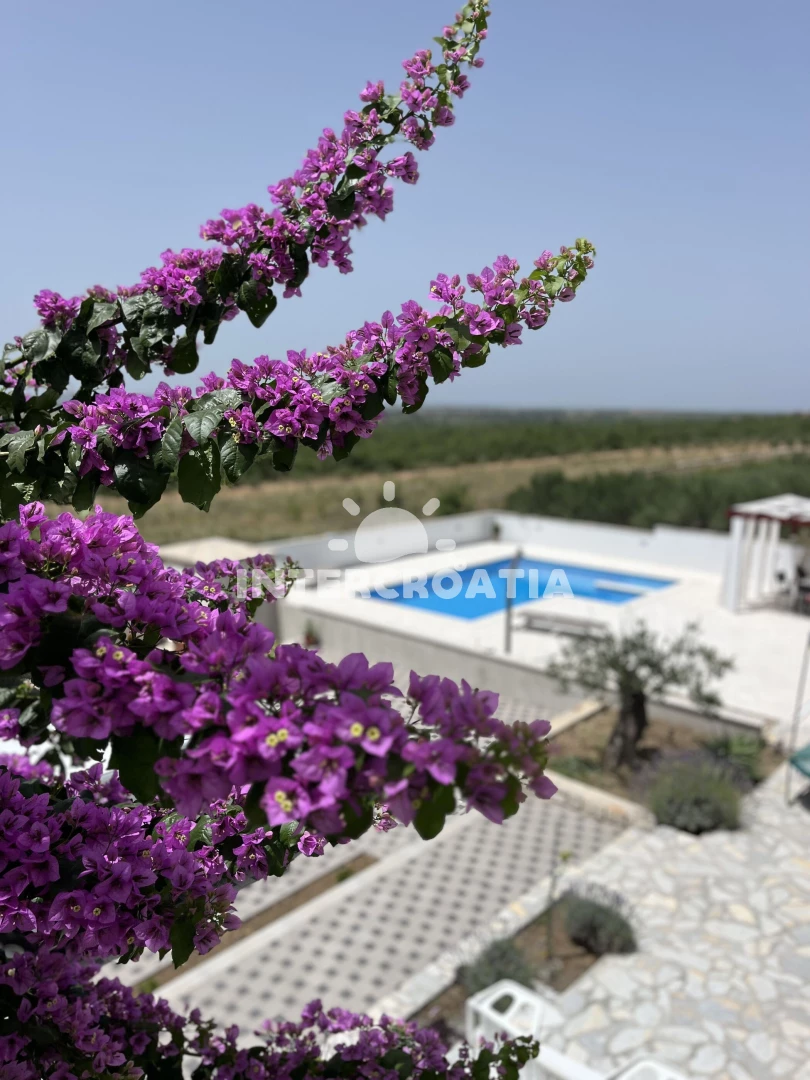 Vila Severní Dalmácie - Nadin DA 17323 N1