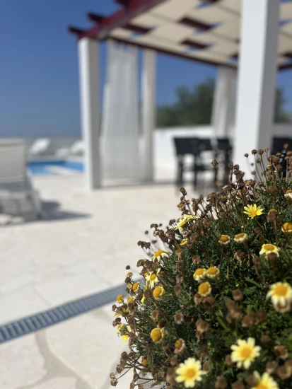 Vila Severní Dalmácie - Nadin DA 17323 N1