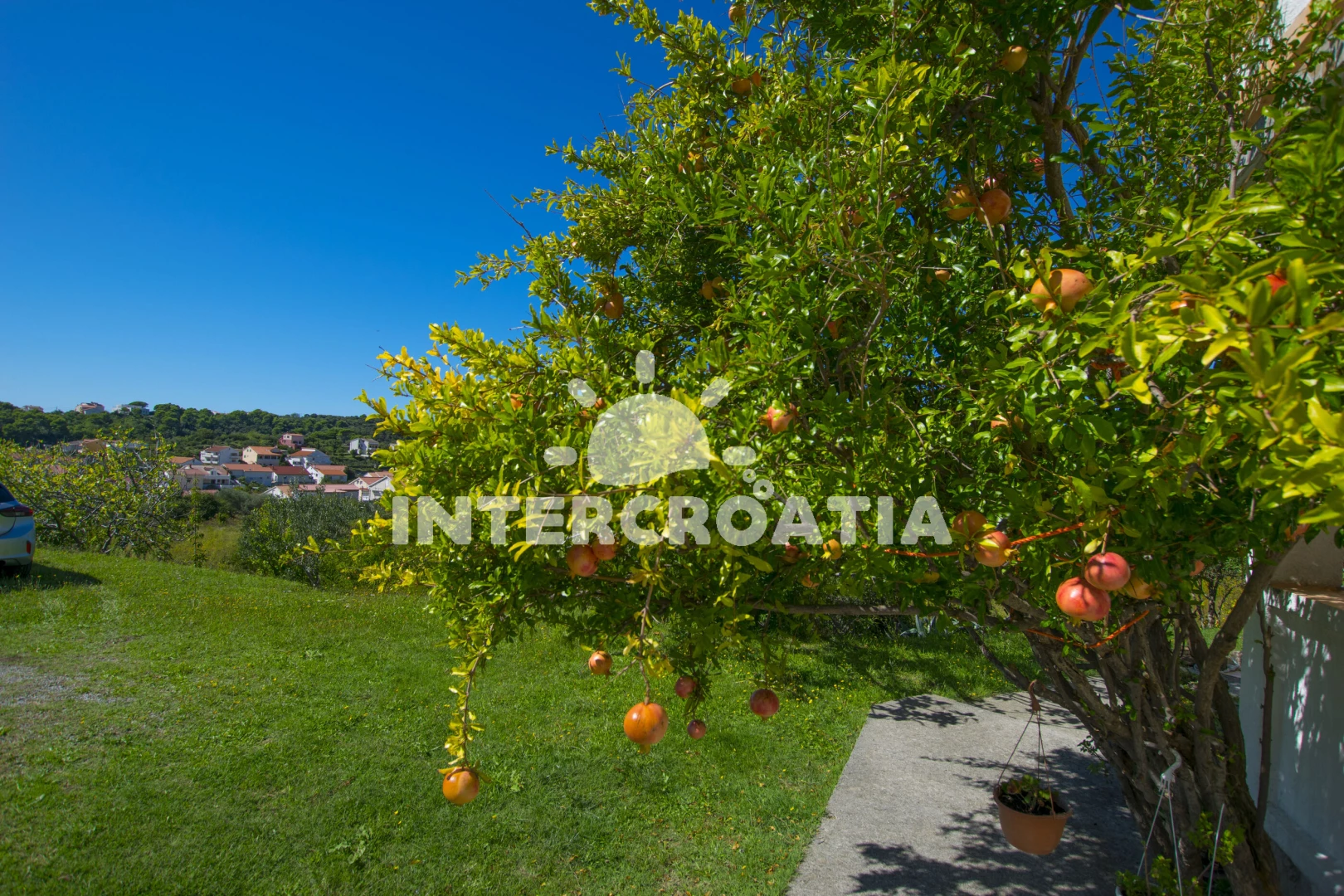 Apartmán Ostrov Rab - Palit OS 12252 N1