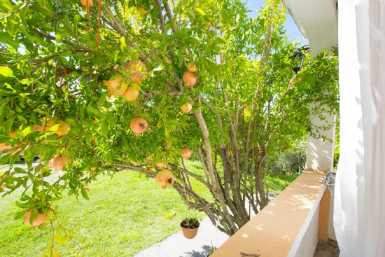 Apartmán Ostrov Rab - Palit OS 12252 N1