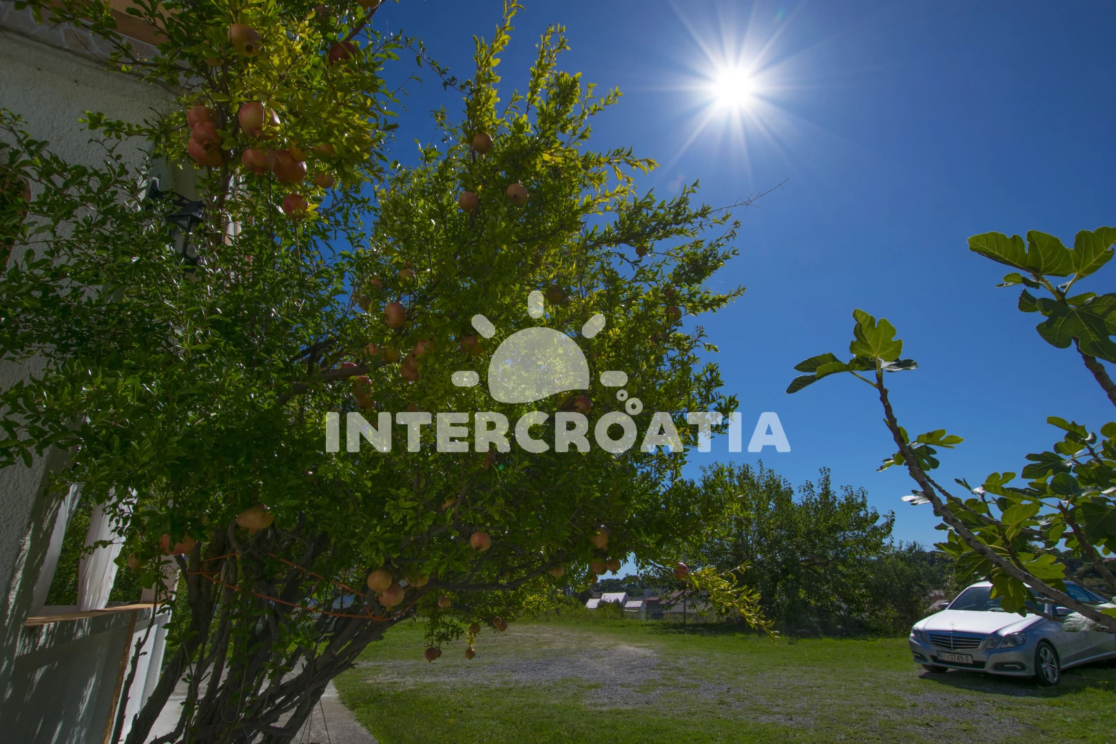 Apartmán Ostrov Rab - Palit OS 12252 N2