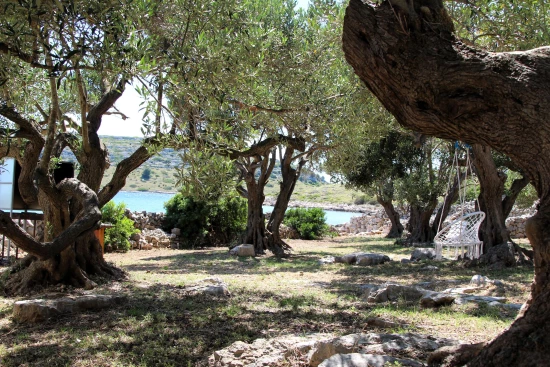 Domek Ostrov Kornat - Kravljacica OS 12253 N1