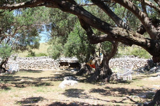 Domek Ostrov Kornat - Kravljacica OS 12253 N1