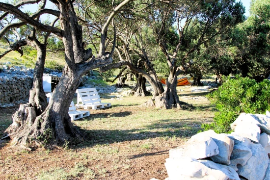 Domek Ostrov Kornat - Kravljacica OS 12253 N1