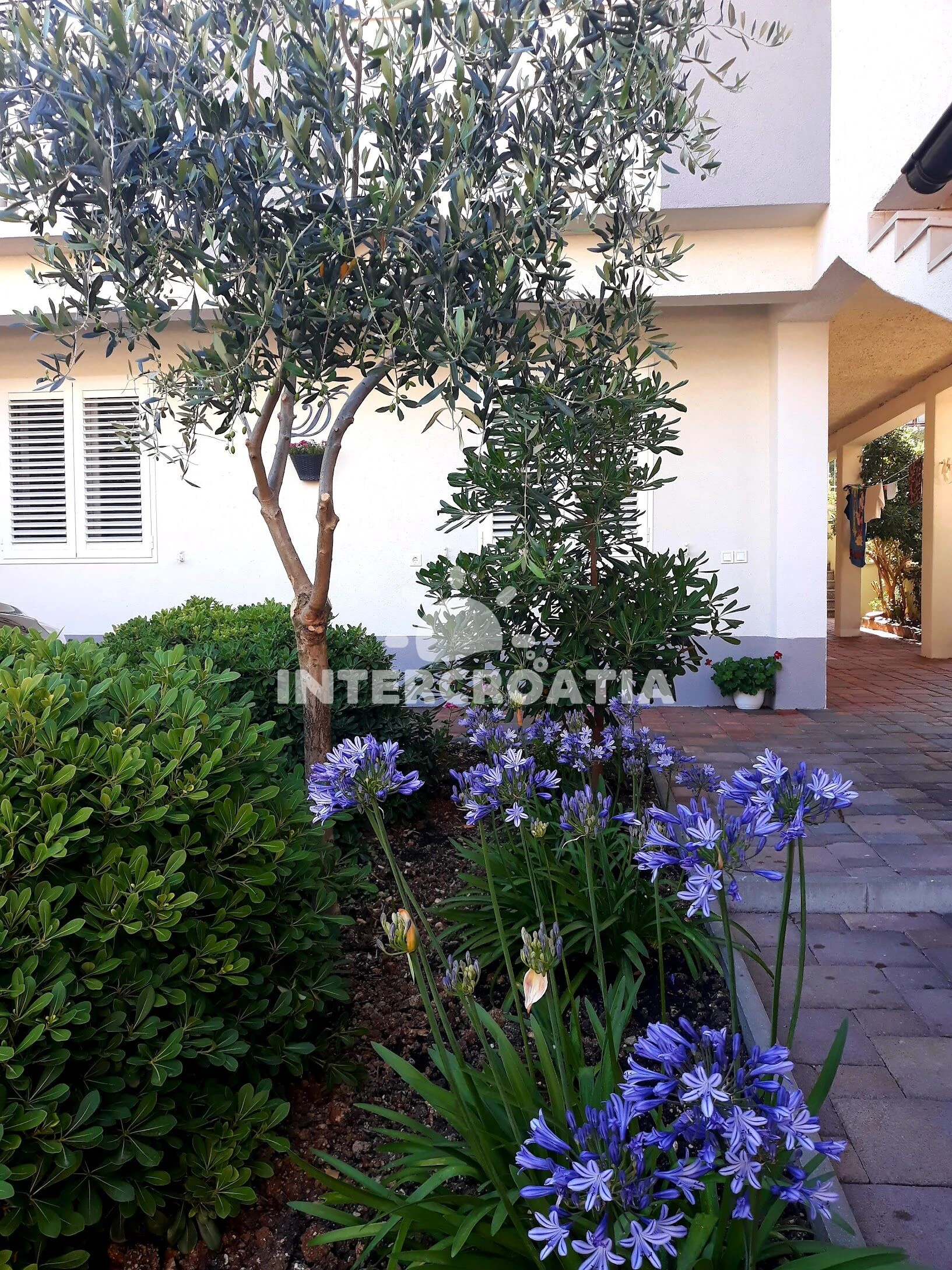 Apartmán Střední Dalmácie - Baška Voda DA 17330 N4