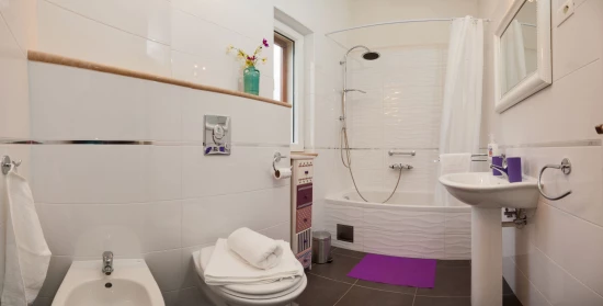 Vila Ostrov Brač OS 12255 N1