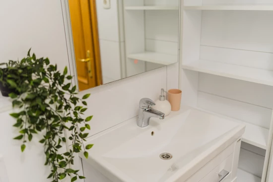 Apartmán Střední Dalmácie - Makarska DA 17336 N1