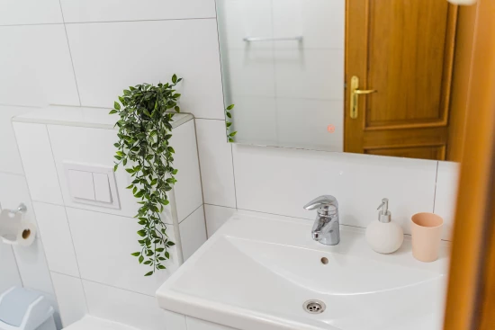 Apartmán Střední Dalmácie - Makarska DA 17336 N3