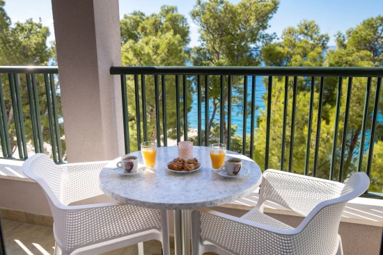 Apartmán Střední Dalmácie - Makarska DA 17336 N6