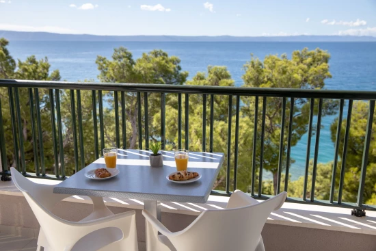 Apartmán Střední Dalmácie - Makarska DA 17336 N7