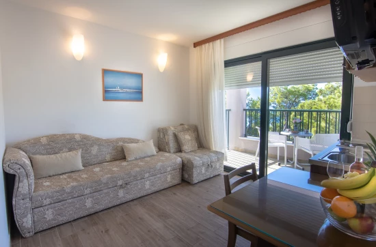 Apartmán Střední Dalmácie - Makarska DA 17336 N9