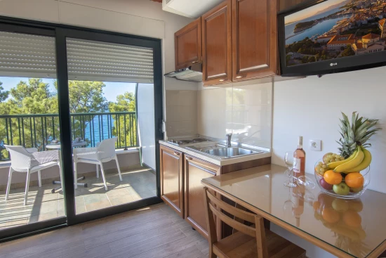 Apartmán Střední Dalmácie - Makarska DA 17336 N9