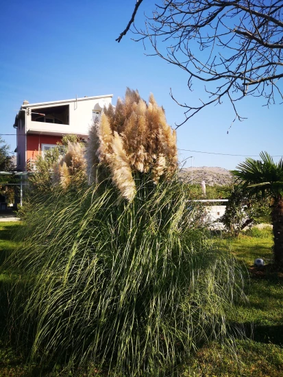 Apartmán UNKNOWN 7000 N2