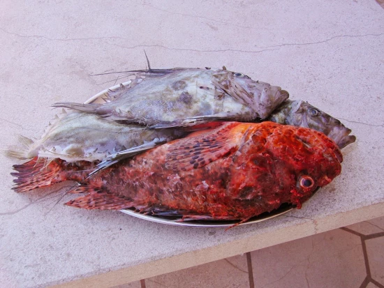 Apartmán Ostrov Brač - Povlja OS 12260 N1