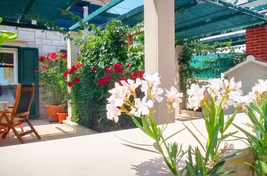 Apartmán Ostrov Brač - Povlja OS 12260 N1