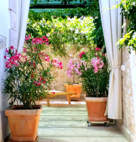 Apartmán Ostrov Brač - Povlja OS 12260 N3