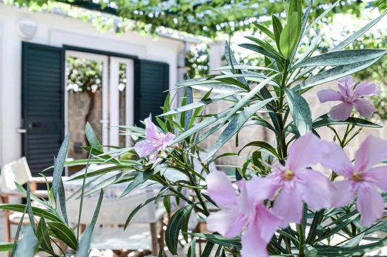 Apartmán Ostrov Brač - Povlja OS 12260 N3