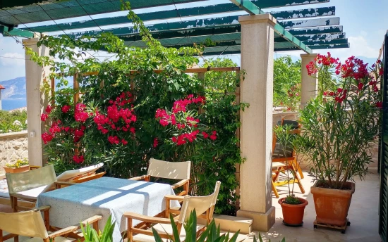 Apartmán Ostrov Brač - Povlja OS 12260 N4