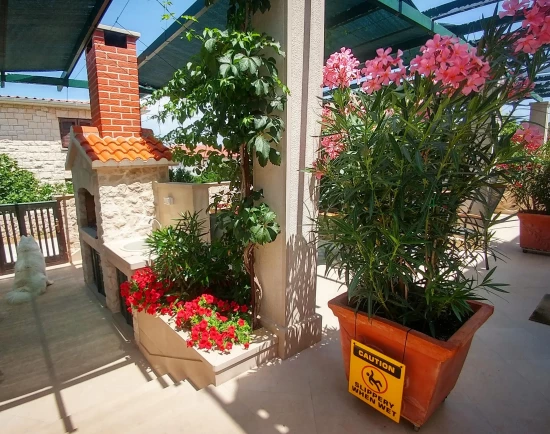 Apartmán Ostrov Brač - Povlja OS 12260 N4