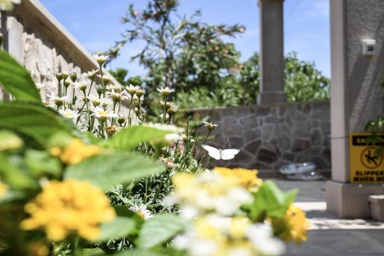 Apartmán Ostrov Brač - Povlja OS 12260 N4