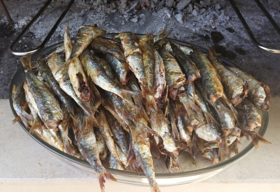 Apartmán Ostrov Brač - Povlja OS 12260 N4