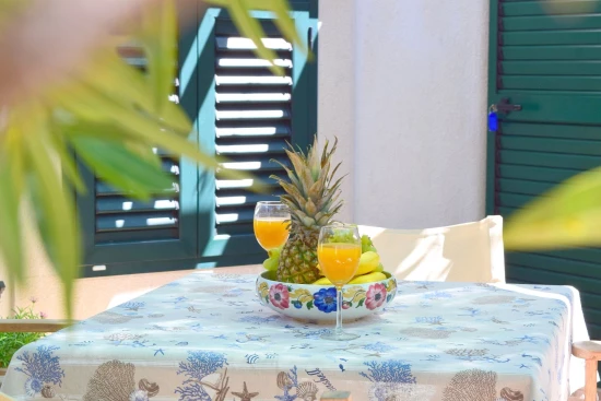 Apartmán Ostrov Brač - Povlja OS 12260 N4