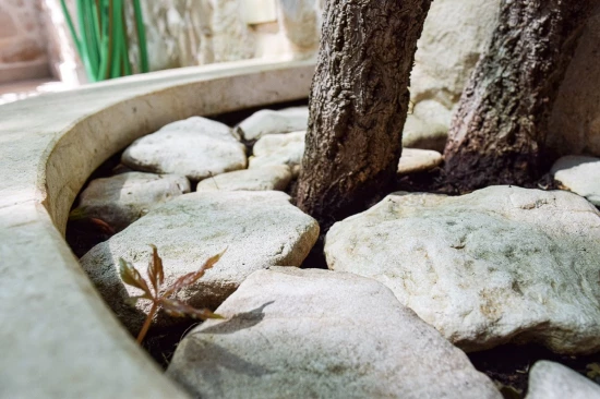 Apartmán Ostrov Brač - Povlja OS 12260 N4