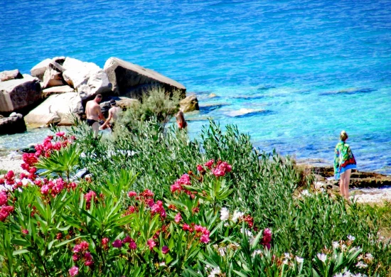 Apartmán Ostrov Brač - Povlja OS 12260 N4