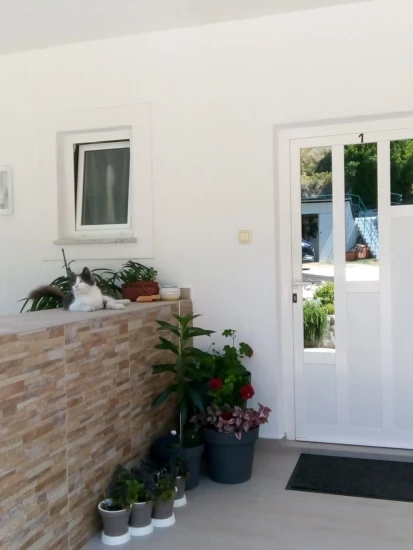 Apartmán Ostrov Rab - Supetarska Draga OS 12261 N1