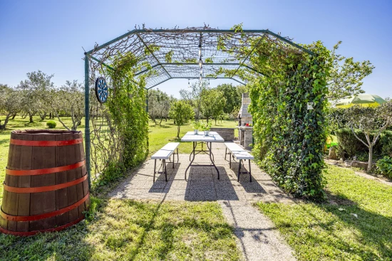 Domek Istrie - Vodnjan (Pula) IS 8081 N1